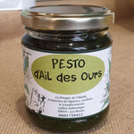 Pesto d'ail des ours